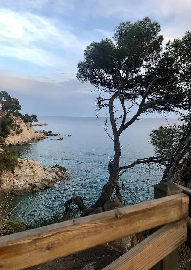Studios Les Terrasses De Cala Llevado トッサ・デ・マール 0*,