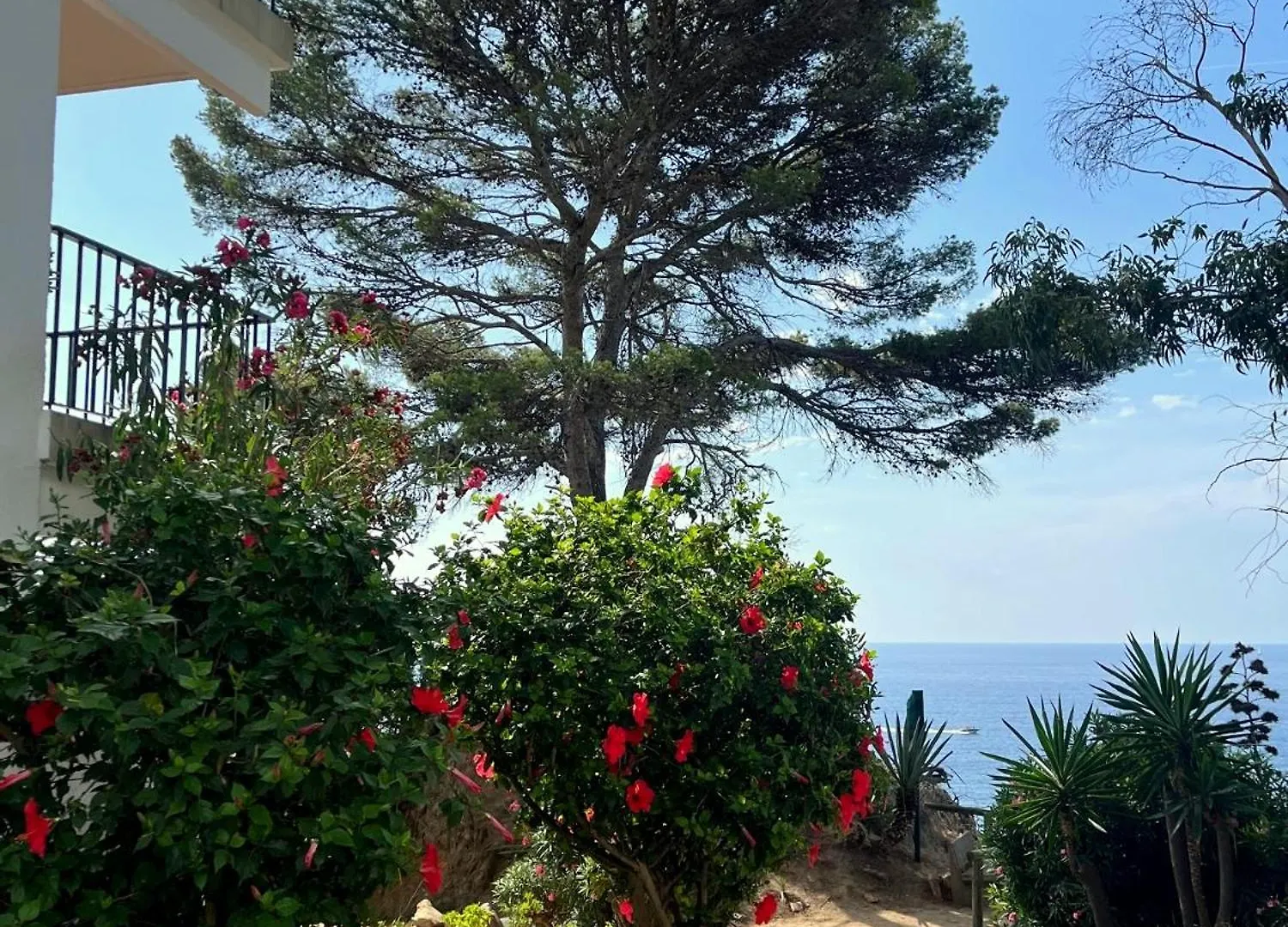 Apartment Studios Les Terrasses De Cala Llevado Tossa de Mar Spain